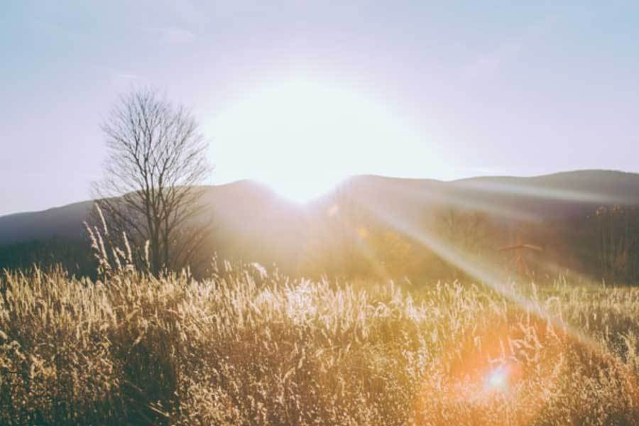 推出新智能摄像头云存储方便j9九游会网站入口科技企业